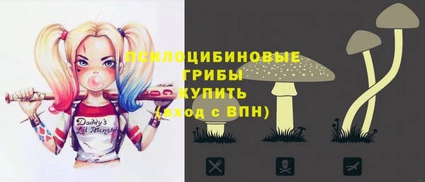 индика Абдулино