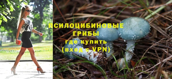 индика Абдулино