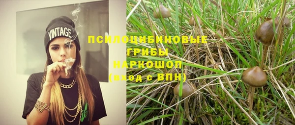 индика Абдулино