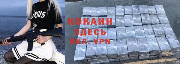 индика Абдулино