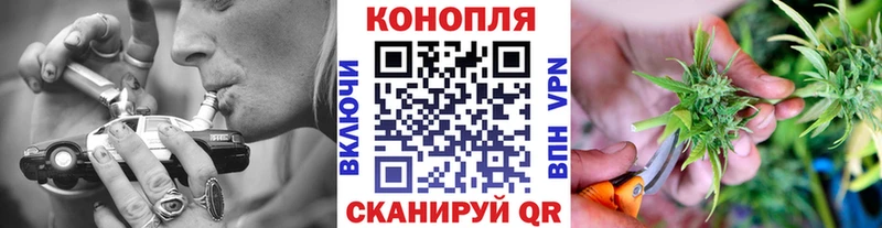 Бошки марихуана тримм продажа наркотиков Тбилисская